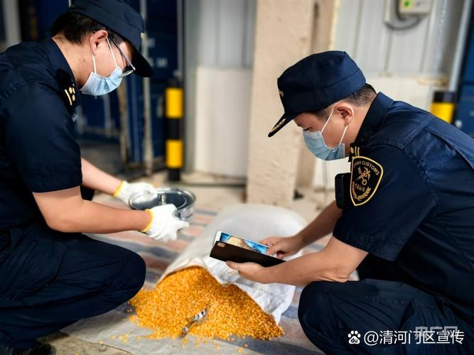 中老铁路 钢铁丝路铸就千吨级贸易新动脉